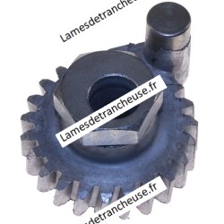 Secteur denté  engrenage