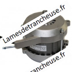 Moteur pour trancheuse NOAW 230V x AFF.CE 250-275 HP. 50 VOLT 220/50/1