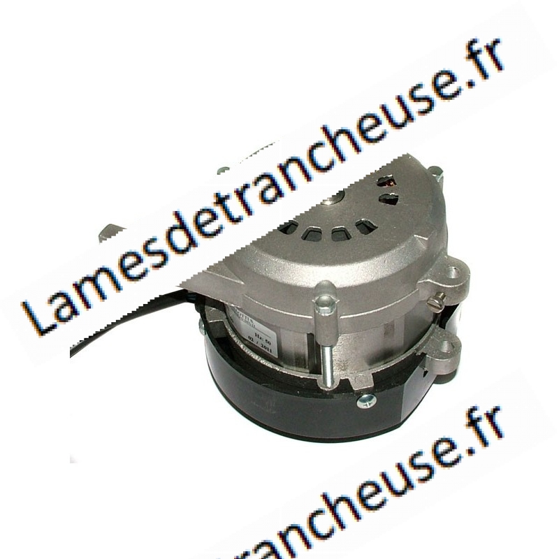 MOTEUR POUR TRANCHEUSE CE TGC250-300TGE OMS PACCO 40H