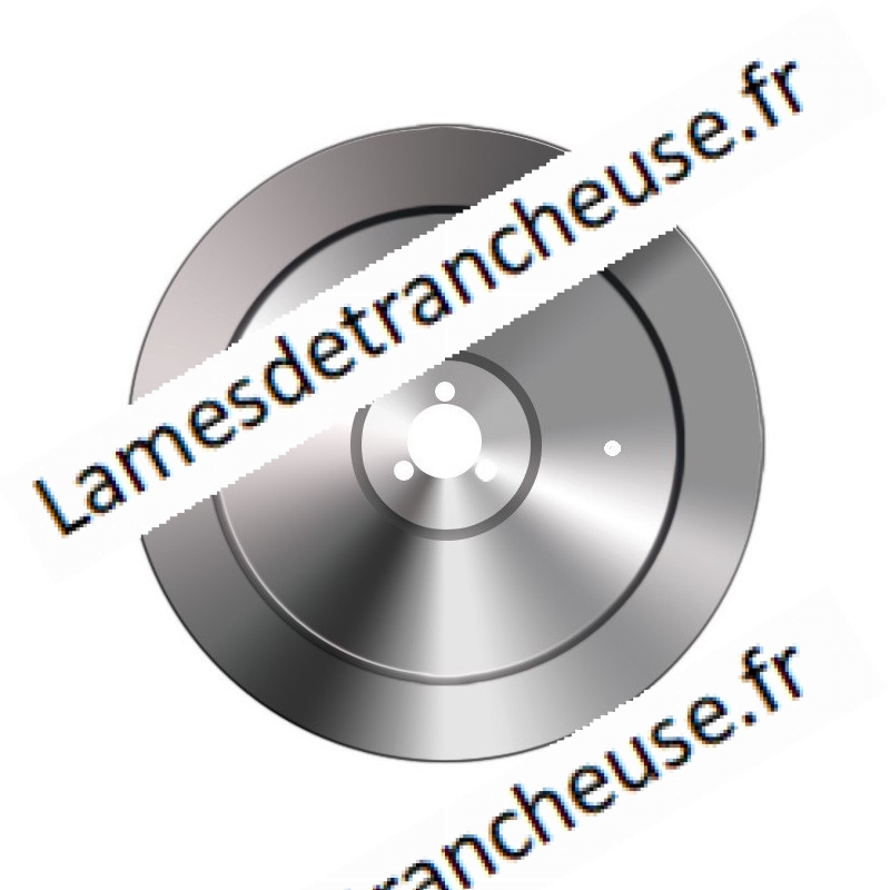 Lame 220X40X3X180X15,5 C45 2 Trous d'extraction