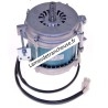 Moteur MOD.300/330