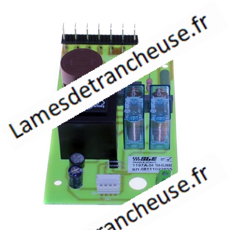 Platine  MOD. C4-C6 VV 220V