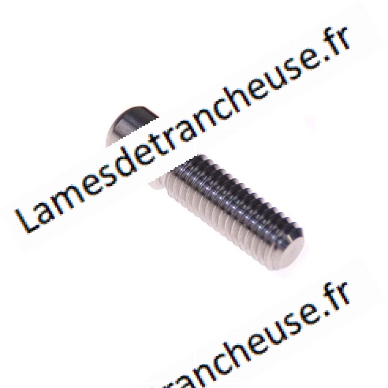 PIVOT POUR EXCENTRIQUE ARSA Ø 9 FIL. M8