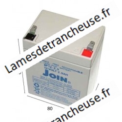 BATTERIE    12V 2.9 Ah DIM. 80X55XH100