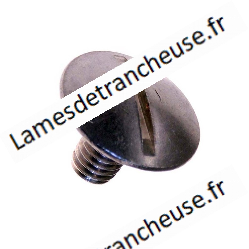 VISSE BARRE DE GUIDAGE 6x13 VS 220/250 de marque OMAS SUR COMMANDE