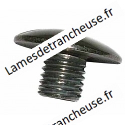 VISSE DE BARRE DE GUIDAGE Ø 24MM X 300S DE MARQUE RGV