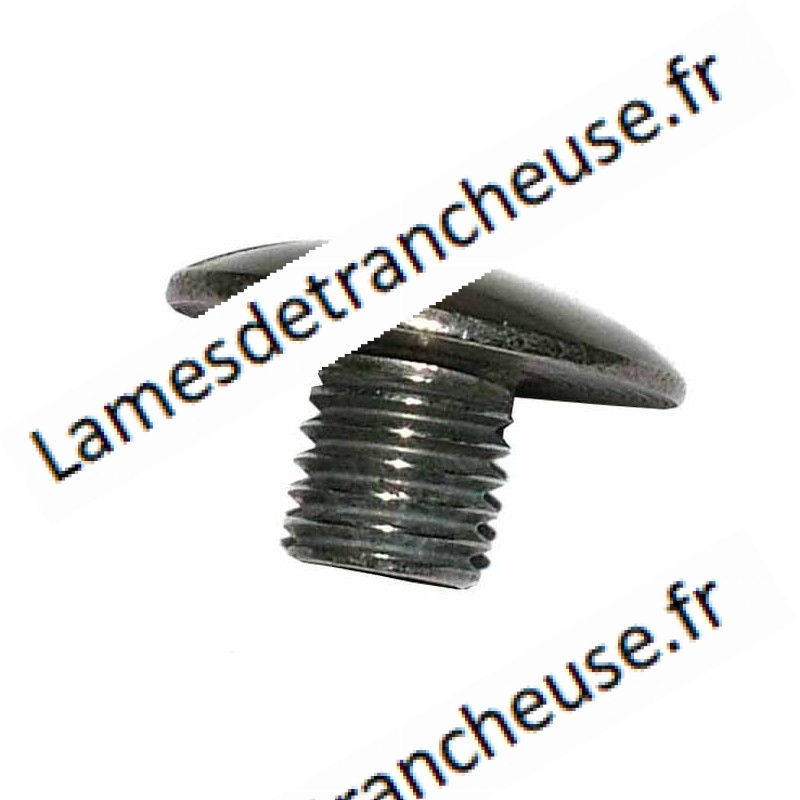 VISSE DE BARRE DE GUIDAGE Ø 24MM X 300S DE MARQUE RGV