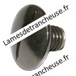 VISSE DE BARRE DE GUIDAGE FIL8MA TÊTE Ø 20MM X 22-25