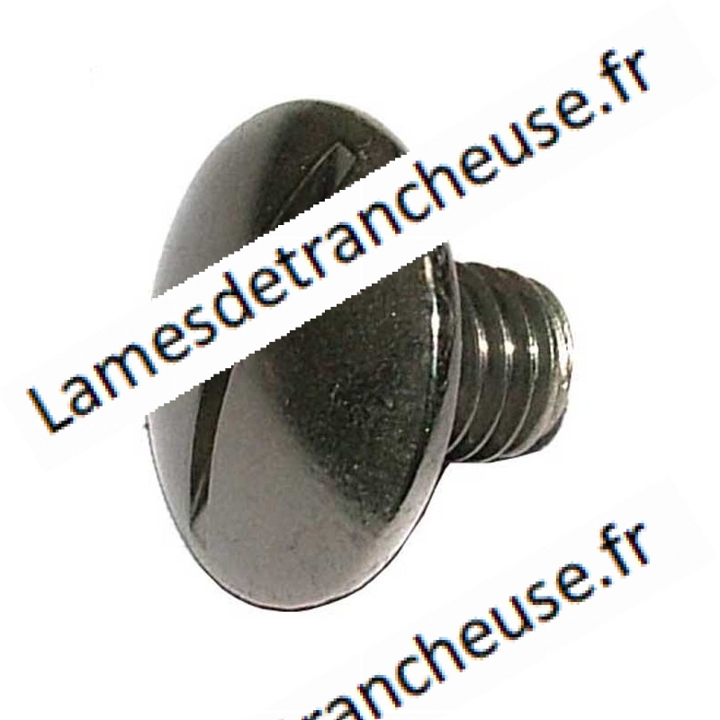 VISSE DE BARRE DE GUIDAGE FIL8MA TÊTE Ø 20MM X 22-25