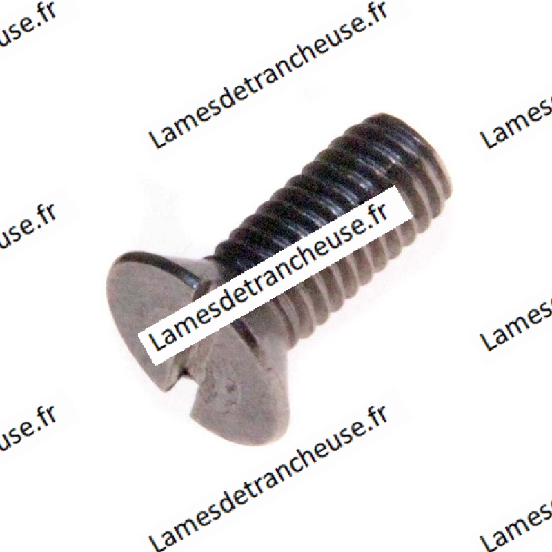 vis lame  Kolossal Ø 5x 12