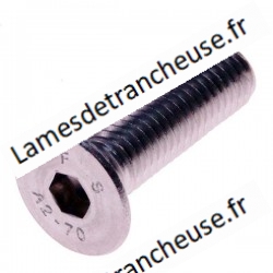 vis lame leonard Ø 10X30