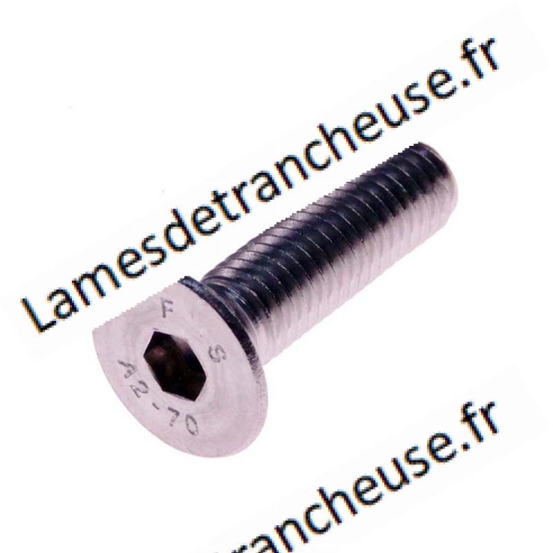 vis lame leonard Ø 10X30