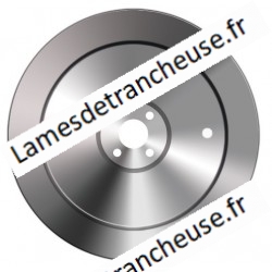 Lame 350X57X4X280X22,5 100CR6 FF entraxe des trous d'extraction 210