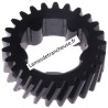 ENGRENAGE  NYLON DENTS 25