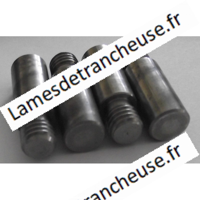 INSERT POUR PIED VENTOUSE PIVOT DE Ø 10 mm H. 25 mm sachet de 4