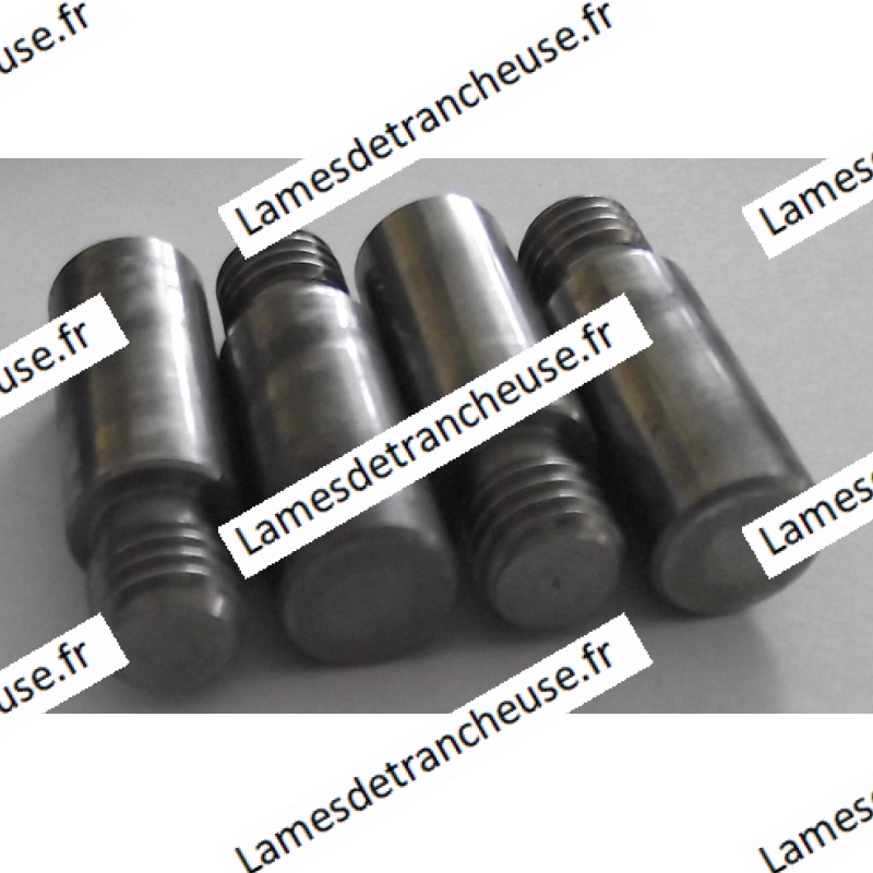 INSERT POUR PIED VENTOUSE PIVOT DE Ø 10 mm H. 25 mm sachet de 4