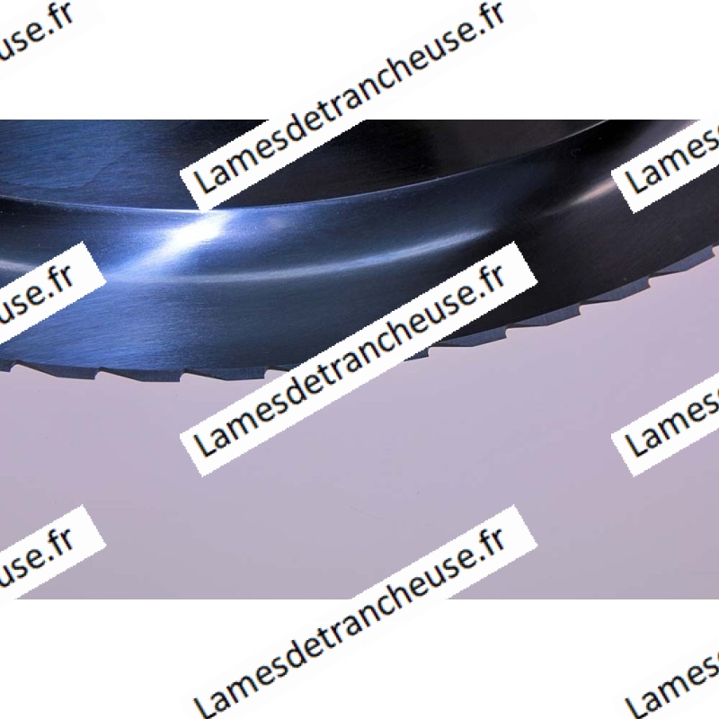 Lame 370X57X4X300X22.5 Dentelée