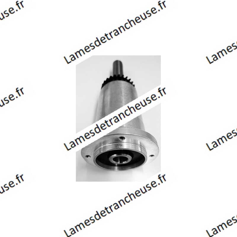 MOYEU MARQUE OMS MOD. TGI À ENGRANAGE Z27 LONG. mm 240 RACCORD