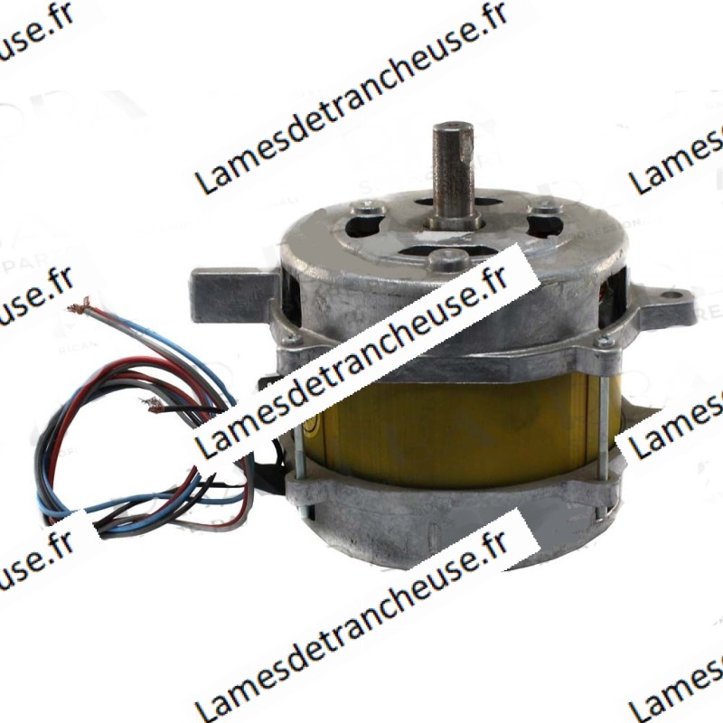 MOTEUR VOLT 230 MARQUE OMAS MOD. A 310 MOTEUR VOLT 230 MARQUE OMAS MOD. A 310