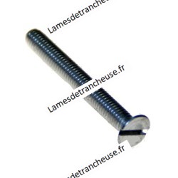 Vis conique Ø 6 x 10 Inox