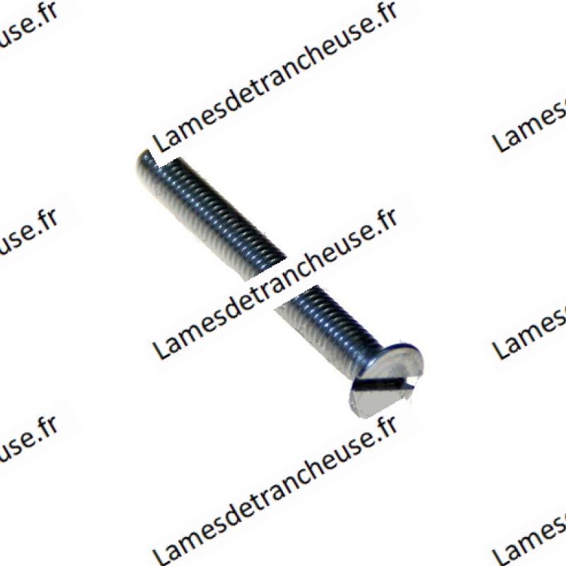 Vis conique Ø 6 x 10 Inox