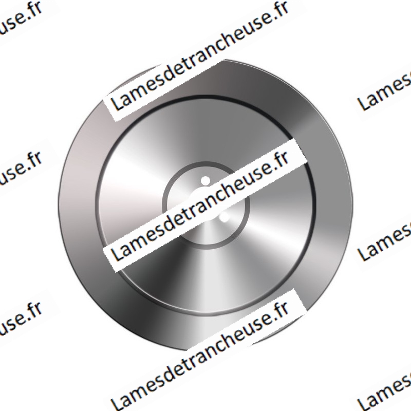 Lame 300X40X3X250X14.5 100CR6 TN Ø 245 mm Lame 300X40X3X250X14.5 100CR6 TN Ø 245 mm