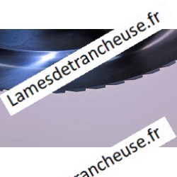 Lame 195X30/3/155/13 C45 Dentelée pour pain 